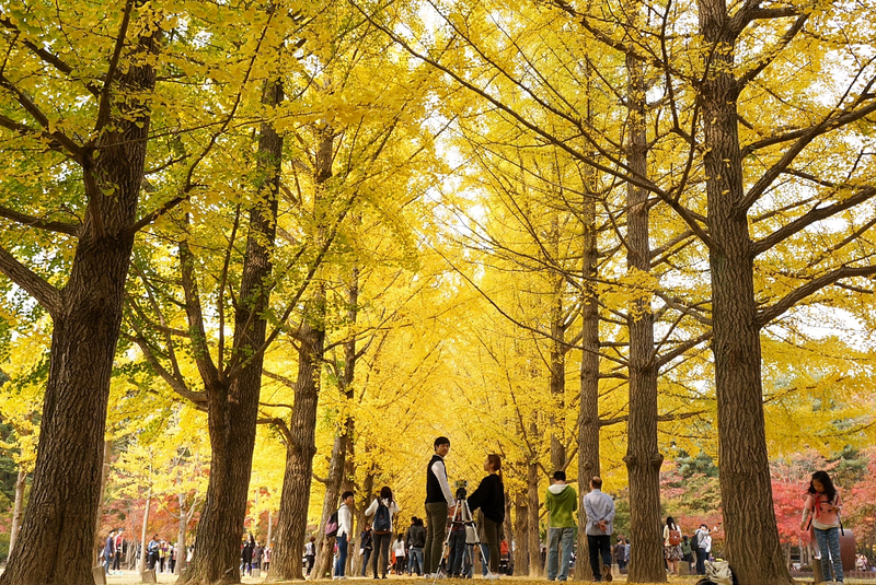 Illustration for article titled 48 Photos Of Autumn Around The World